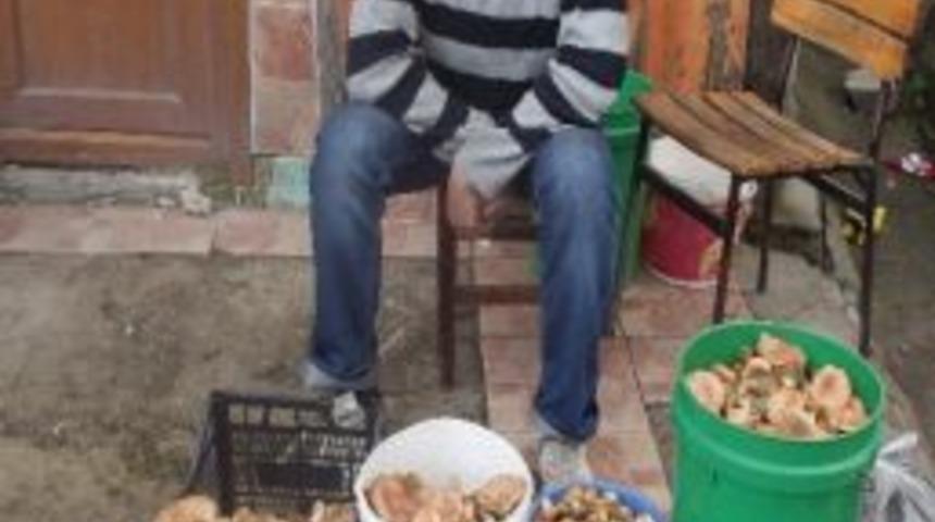 K&uuml;re&rsquo;de Mantar 13 Tl&rsquo;den Alıcı Buldu