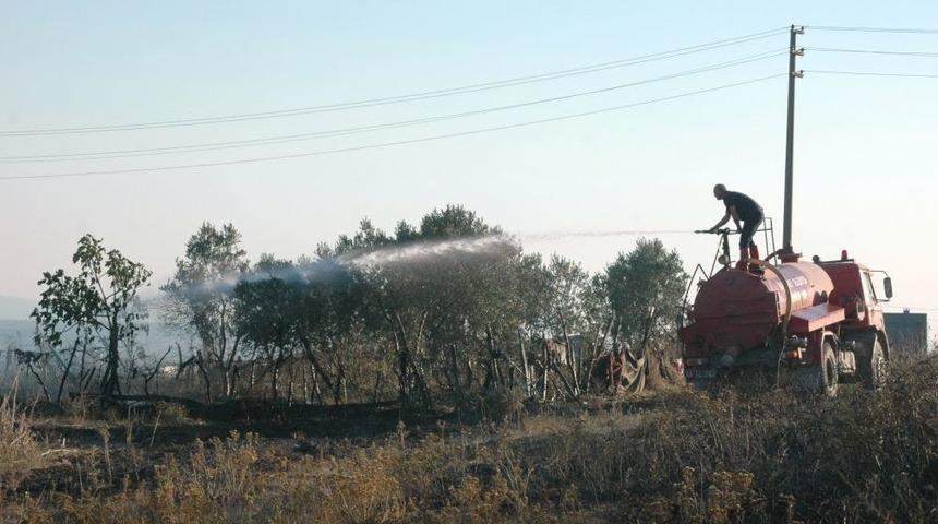 Arazi Yangını Zeytinliğe Sı&ccedil;radı