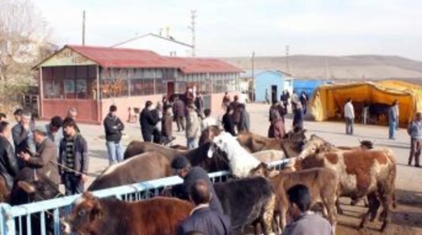 Kurban Pazarı Yeri İçin Müracaatlar Başladı