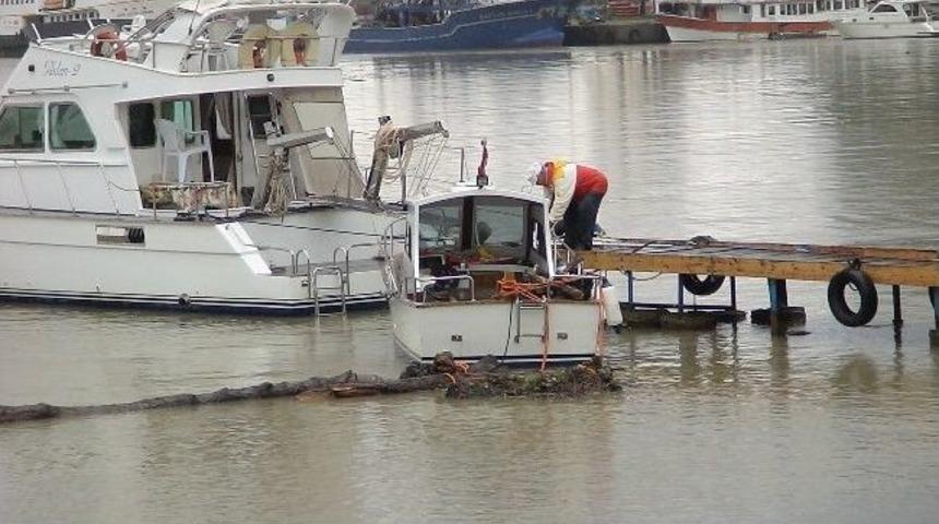 Balık Yerine, Denizden Odun &Ccedil;ektiler