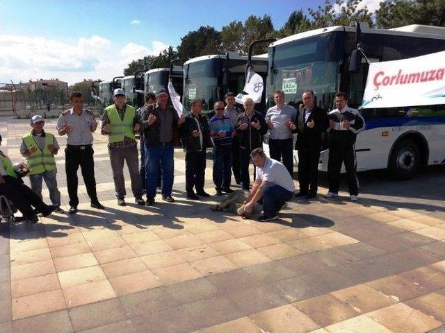 Çorlu Belediyesi 6 Adet Yeni Halk Otobüsü Aldı