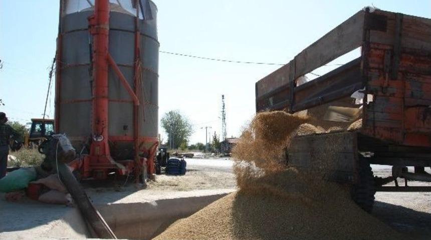 &Ccedil;eltikler Kurutulmaya Başlandı