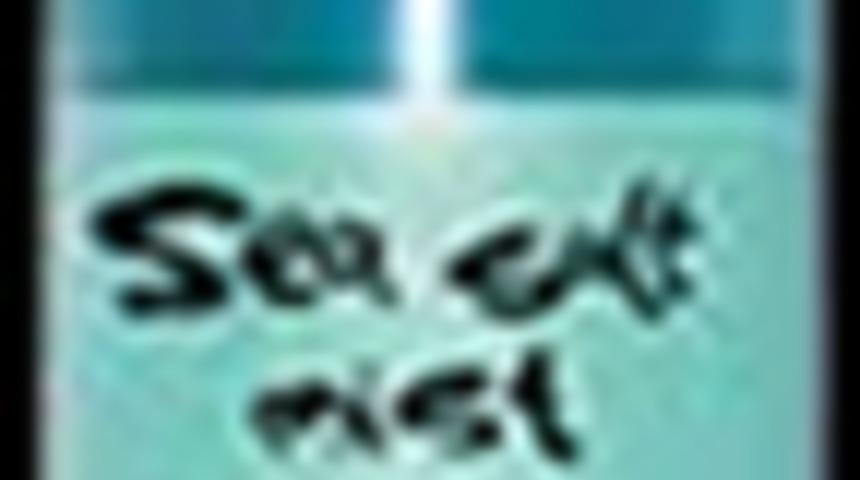 Doğal Sa&ccedil; Şekillendirici; Tuzlu Su