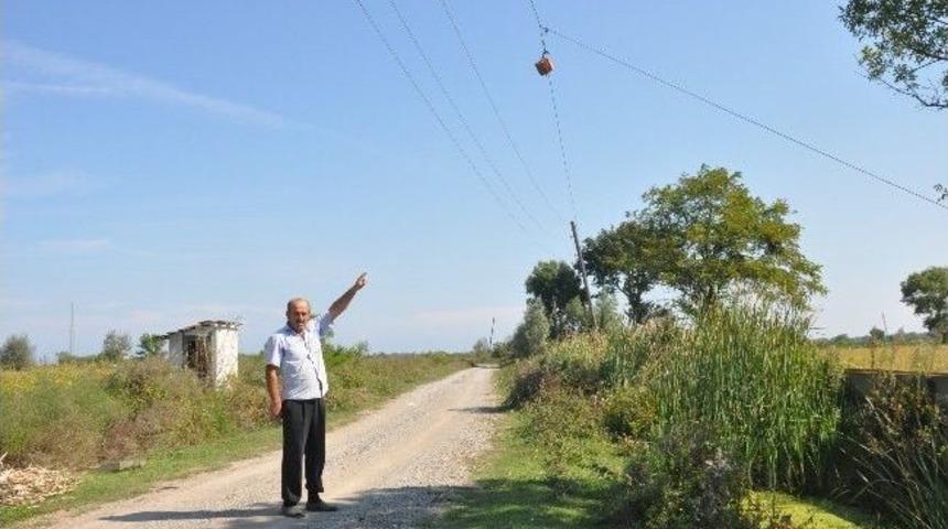 Elektrik Tellerinin Birbirine &Ccedil;arpmasını &Ouml;nlemek İ&ccedil;in İlgin&ccedil; Y&ouml;ntem
