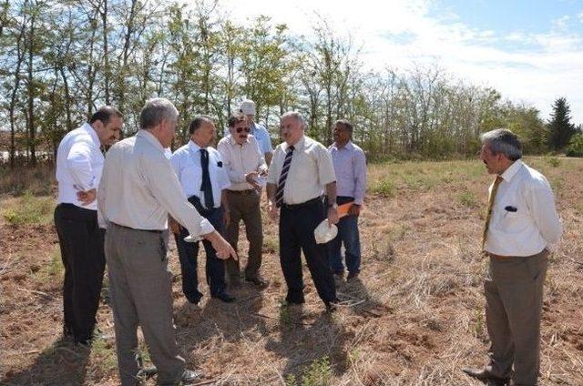 Vali Ziyaeddin Akbulut Meyve Fidanlığı’nın Da Teknokent’e Devri Yapılacak