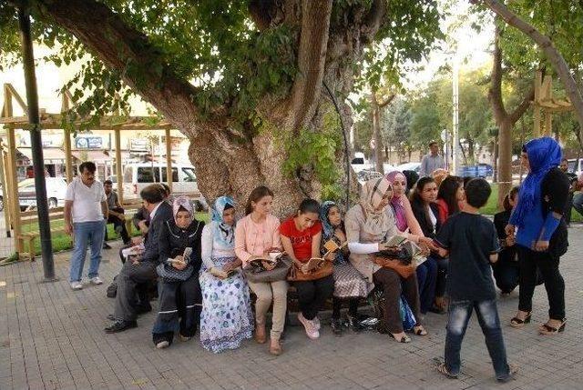 Şanlıurfa’nın Siverek İlçesinde Kitap Okuma Projesi