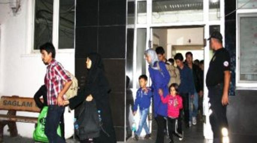 Ka&ccedil;ak G&ouml;&ccedil;menler Zeytinlikte Yakalandı