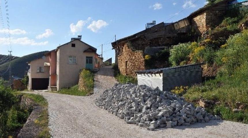 G&uuml;m&uuml;şhane K&ouml;ylerinde Parke Seferberliği