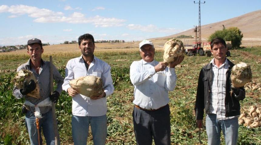 Elbistan&rsquo;da dev pancarlar g&ouml;renleri şaşırtıyor