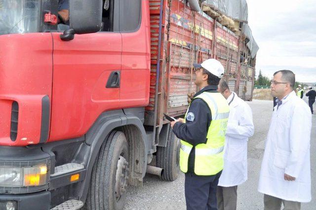 Doğudan Batıya Kurban Sevkiyatı Başladı Yollarda Denetimler Arttı