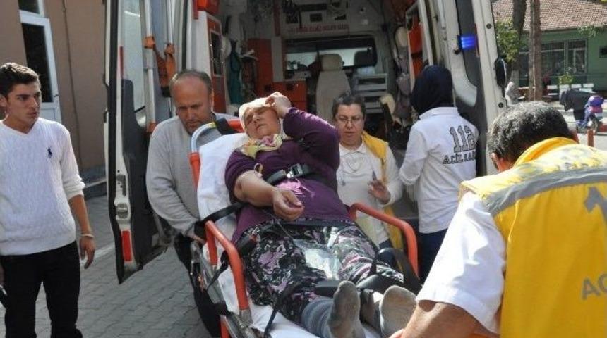 &Ccedil;ilek Toplarken Yılan Soktu