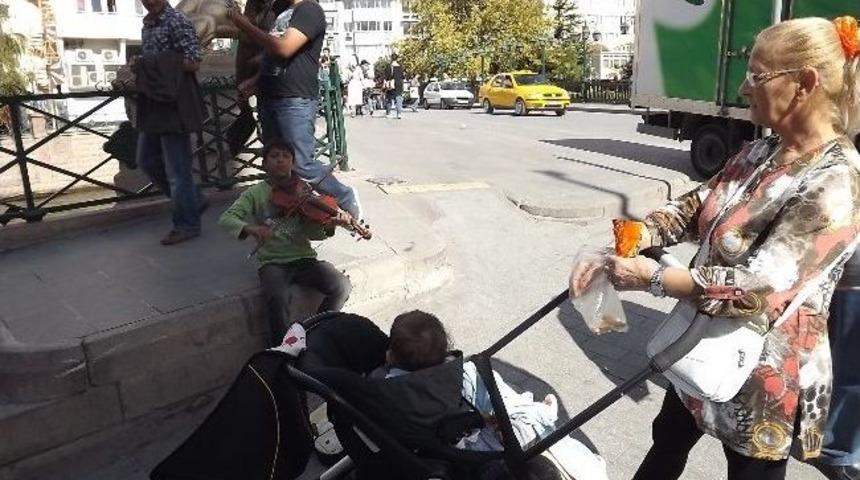 Keman Sanki Oyuncağı