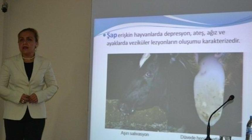 Hayvan Sevkiyatları &Ouml;zel İzinle Ger&ccedil;ekleştirilecek