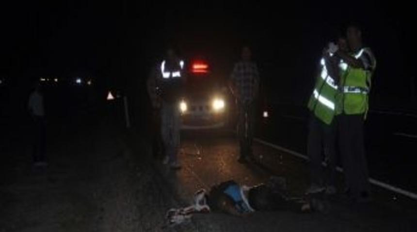 Nusaybin&rsquo;de yol kenarında ceset bulundu