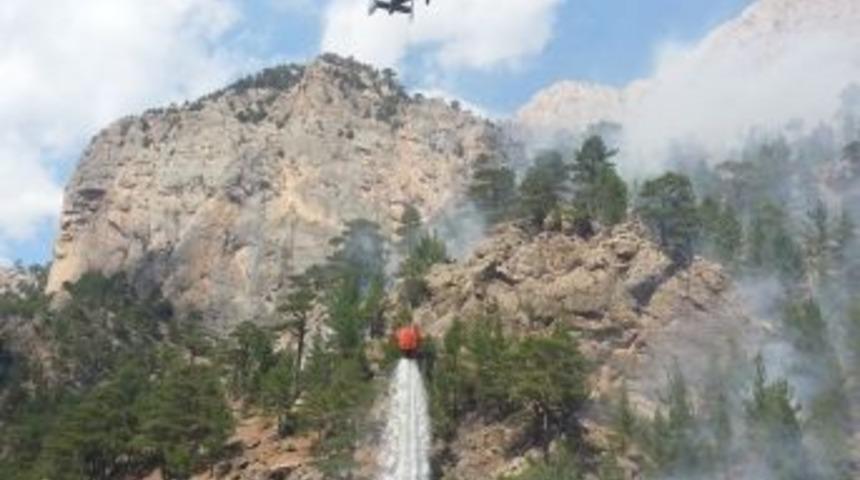 Adana'da Orman Yangını