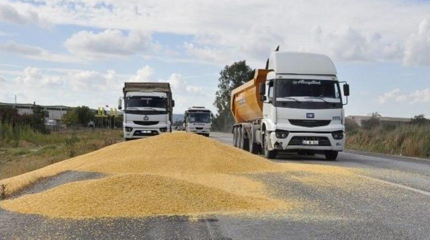 İzmir Aydın Asfaltı Mısır Tarlasına D&ouml;nd&uuml;
