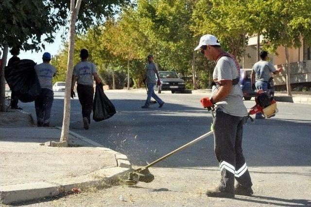 Aliağa, Dip Tırnak Temizlendi!