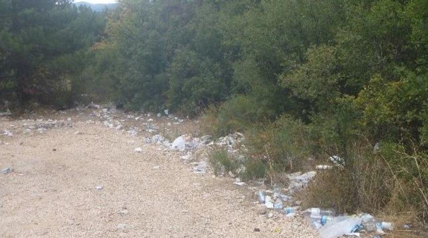 Bilecik Kent Ormanı &Ccedil;&ouml;pl&uuml;ğe D&ouml;nd&uuml;