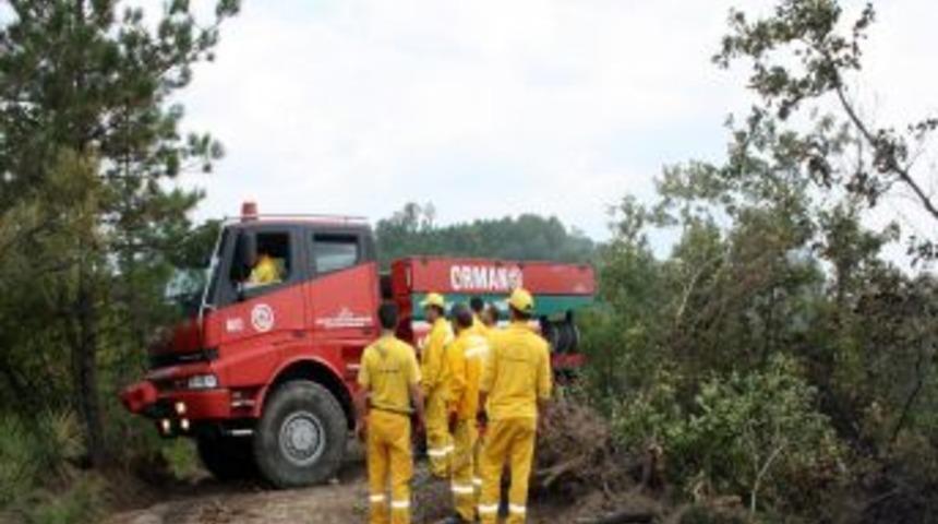 Sakarya'da Orman Yangını