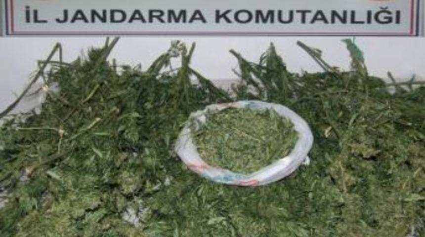 Jandarmadan Esrar Operasyonu