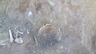 Kaya mezarlardan insan kemikleri çıktı