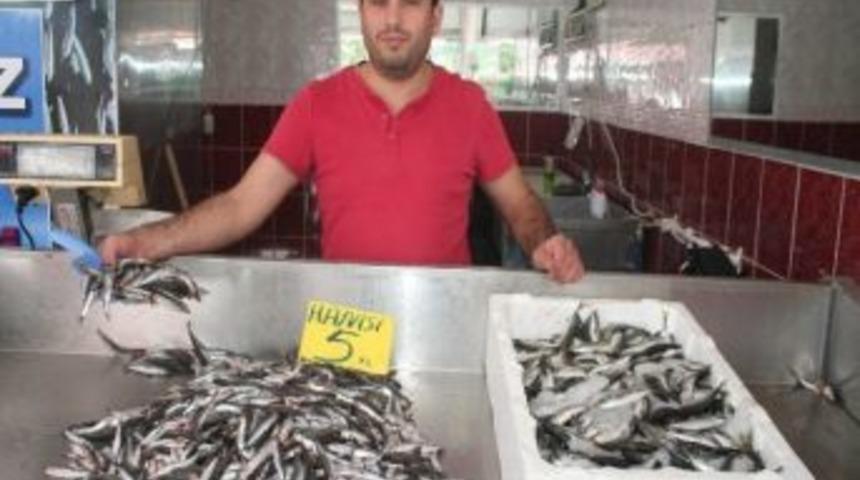 Erzincanlı Balık&ccedil;ılar Sezondan Umutlu