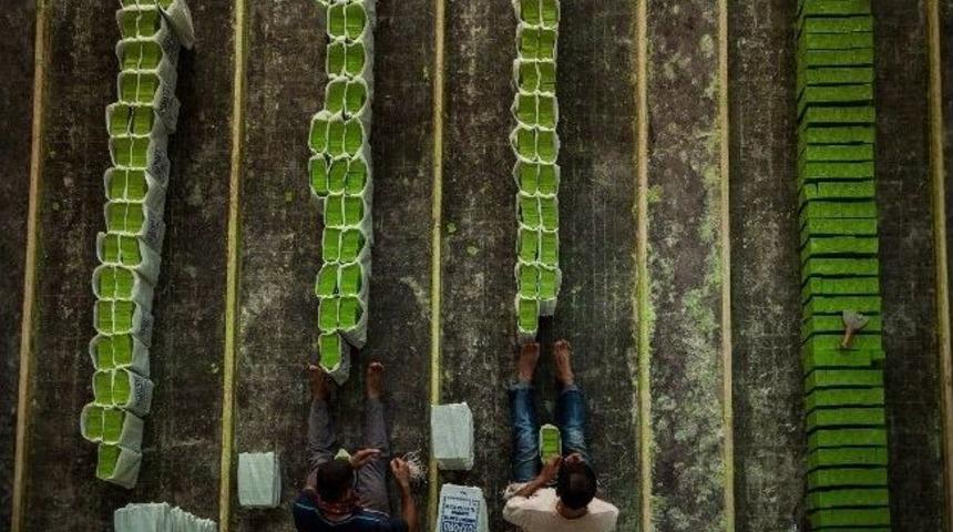 Fotomaraton Her Yıl Kendi Rekorunu Kırıyor