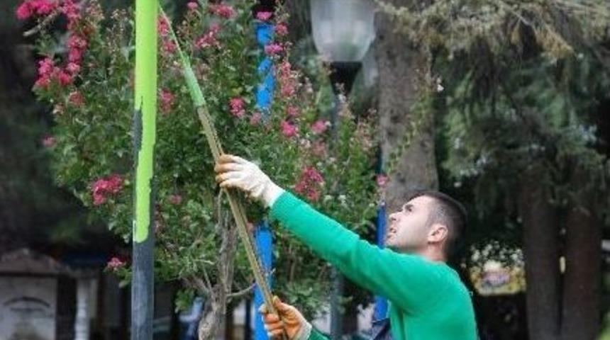 Aydınlatma Direkleri Renklendi