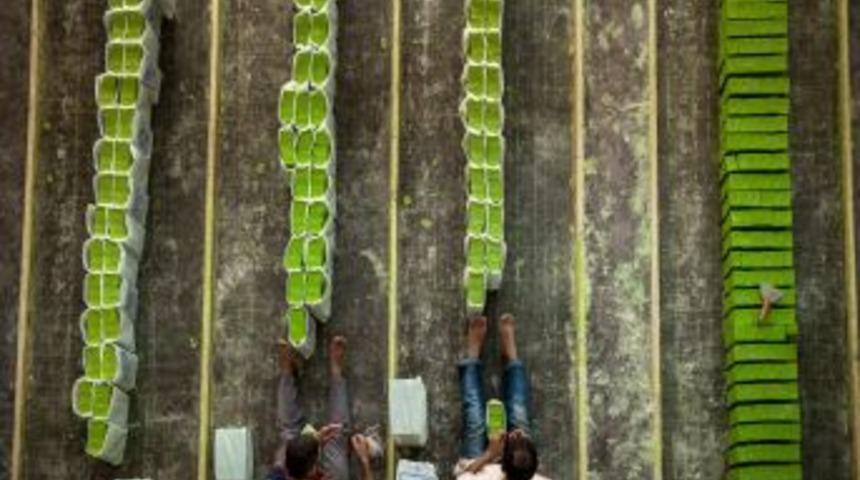 6. Fotomaraton G&ouml;r&uuml;nt&uuml; Avcılığı Yarışması'nda Dereceye Girenler Belli Oldu