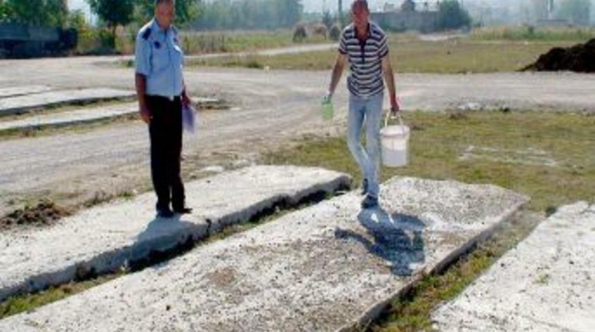 Samsun&rsquo;da Kurban Bayramı Hazırlıkları Başladı