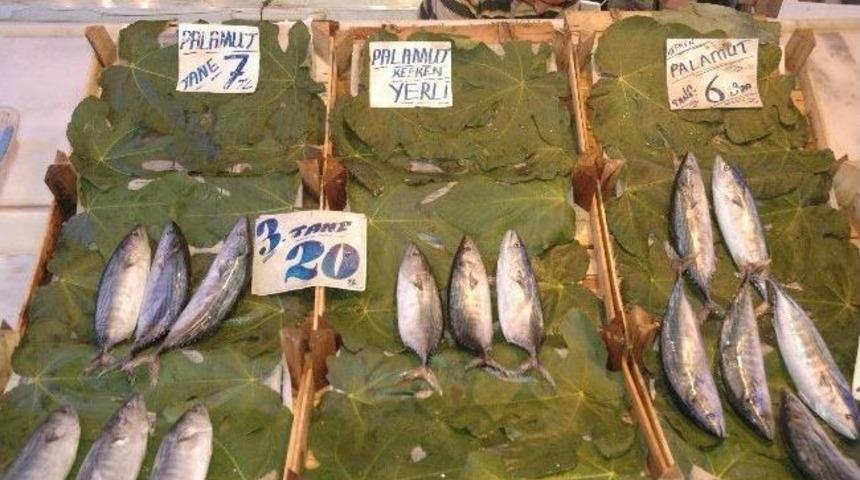 Av Sezonunun Açılmasına Rağmen Balık Tezgahları Boş Kaldı