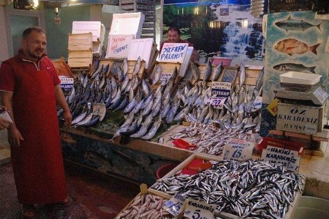 Av Sezonunun Açılmasına Rağmen Balık Tezgahları Boş Kaldı