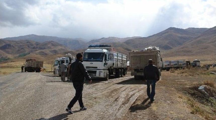 Y&uuml;ksekova&rsquo;da Hayvancılık Gelişiyor