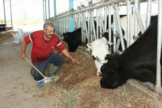 Hem &Ccedil;ift&ccedil;i Hemde Aday Adayı 2