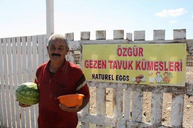 Hem &Ccedil;ift&ccedil;i Hemde Aday Adayı 3