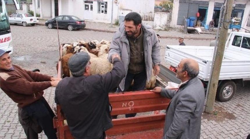 Trakt&ouml;r R&ouml;morkunda Kurban Pazarlığı