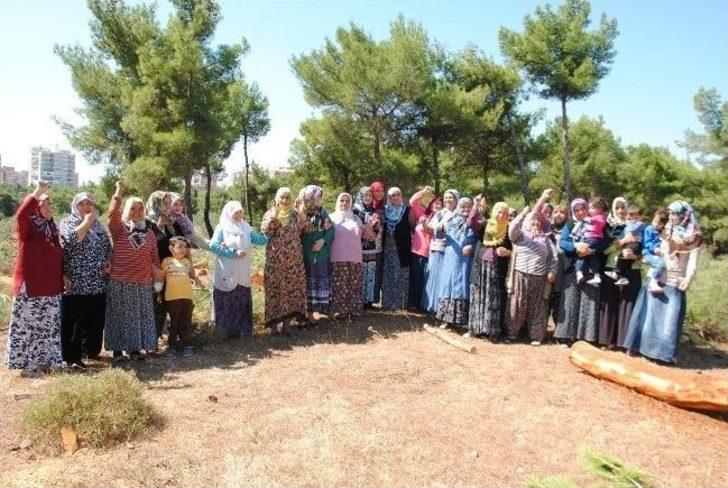 İzmirli Kadınlar Ağaç Katliamını Durdurdu G2