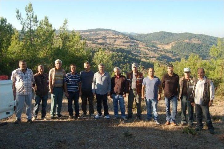 Lapseki'de Doğaya Sülün Salınımı Yapıldı G3