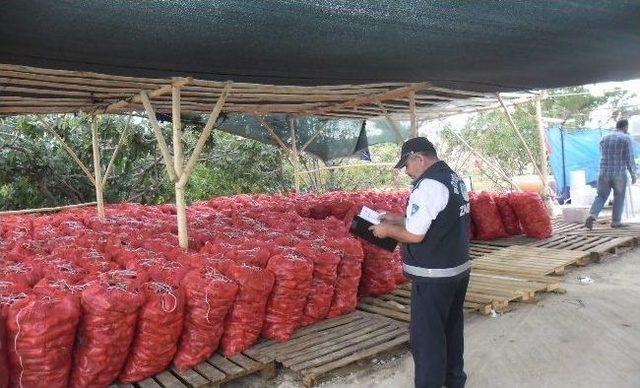 Büyükşehir Zabıta Ekipleri, Kaçak Sebze Ve Meyvelere İzin Vermiyor