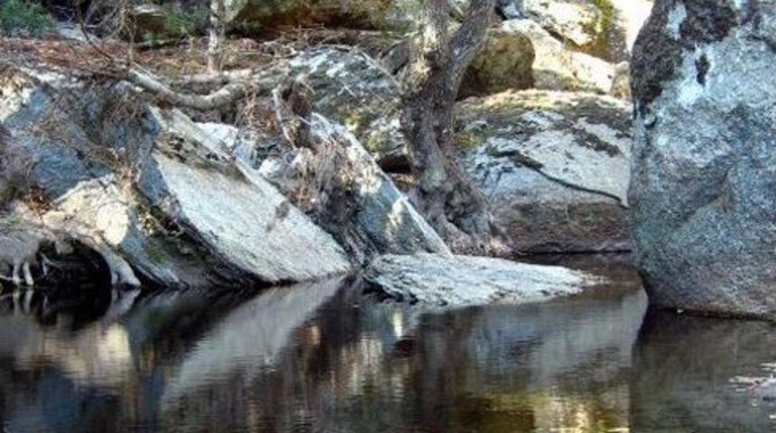 &Ccedil;ine Belediyesi Doğaseverleri Buluşturuyor