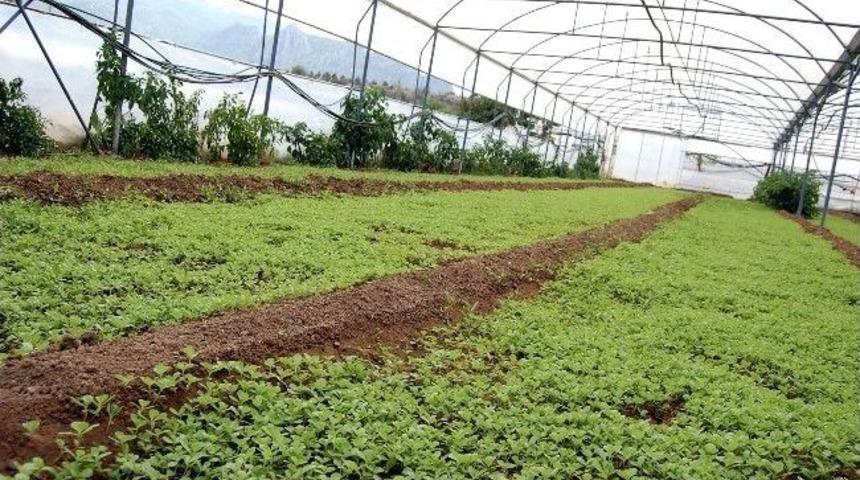 Seralarda G&uuml;z D&ouml;nemi Hazırlığı