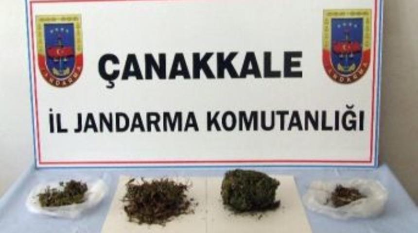 &Ccedil;anakkale&rsquo;de Uyuşturucu Operasyonu