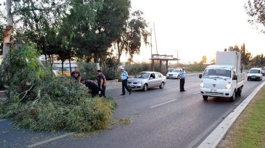 Yolun Boş Olması Faciayı Önledi