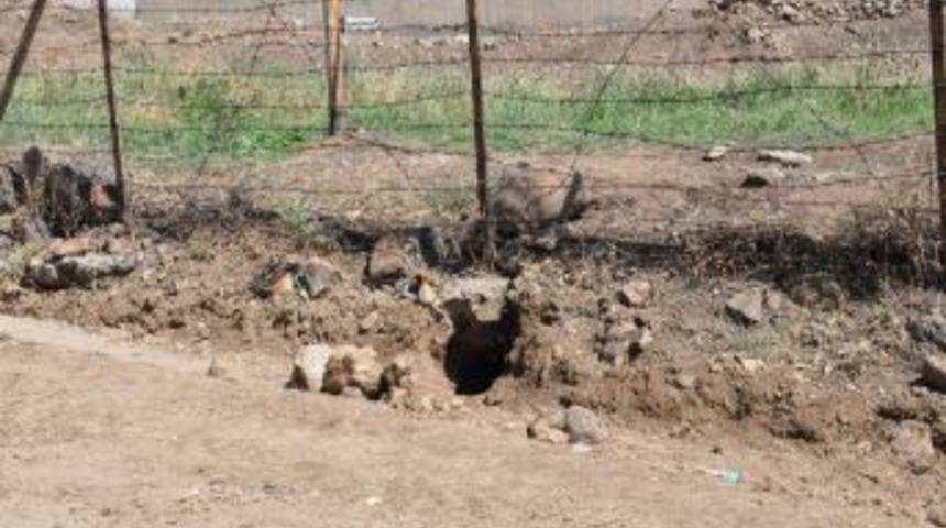 Firar Edenlerin Kimlikleri