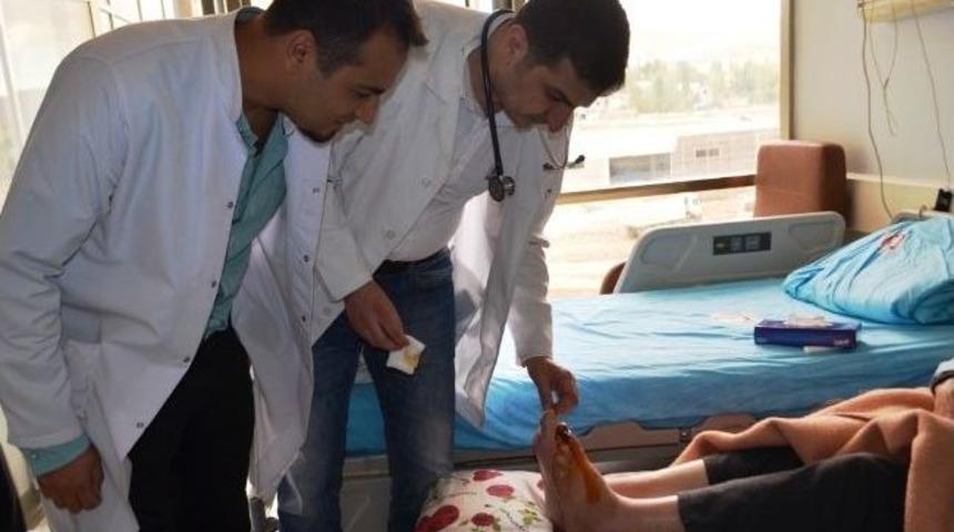 Veah Başarılarına Başarı Katıyor