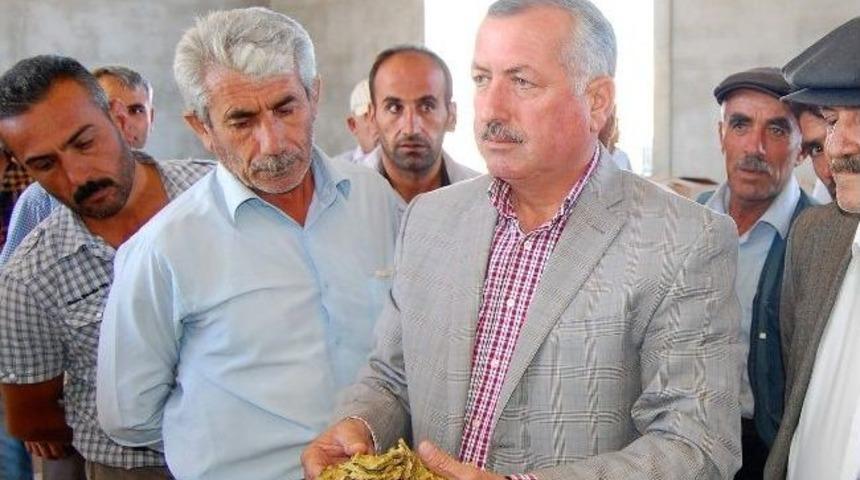 T&uuml;t&uuml;n Adıyaman&rsquo;a B&uuml;y&uuml;k Girdi Sağlıyor