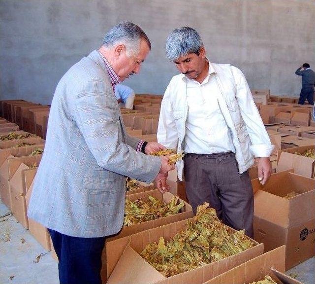 Tütün Adıyaman’a Büyük Girdi Sağlıyor