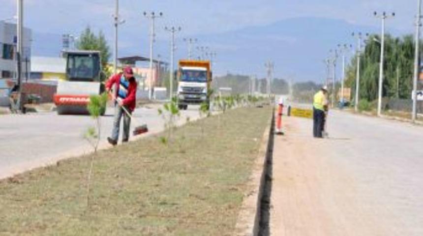 Erbaa Belediyesi OSB&rsquo;de &Ccedil;evre D&uuml;zenlemesine Başladı