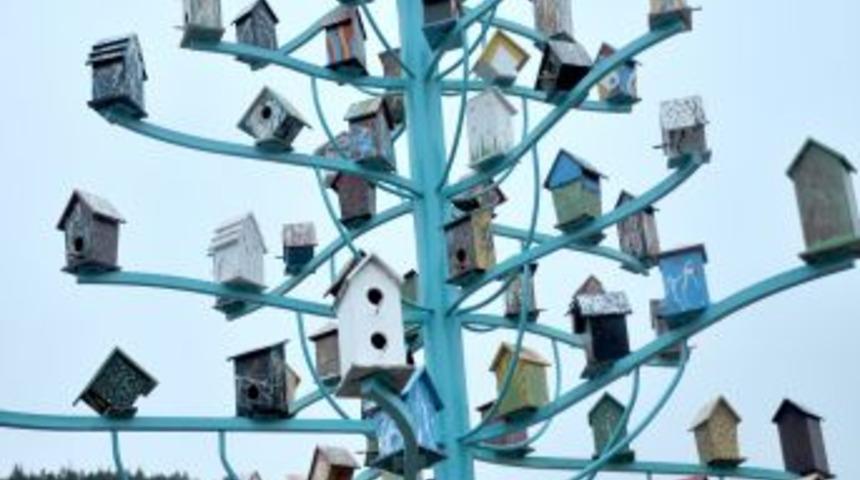 15 Yaşından B&uuml;y&uuml;klere Macera Parkı