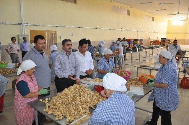 Başkan Alıcık, Ahilik Haftası'nı Kutladı